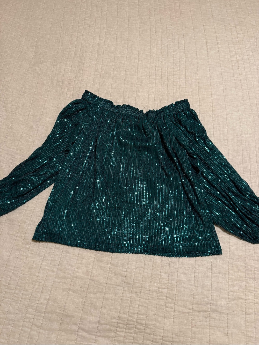 Off-Shoulder Sequin Top in Emerald Green